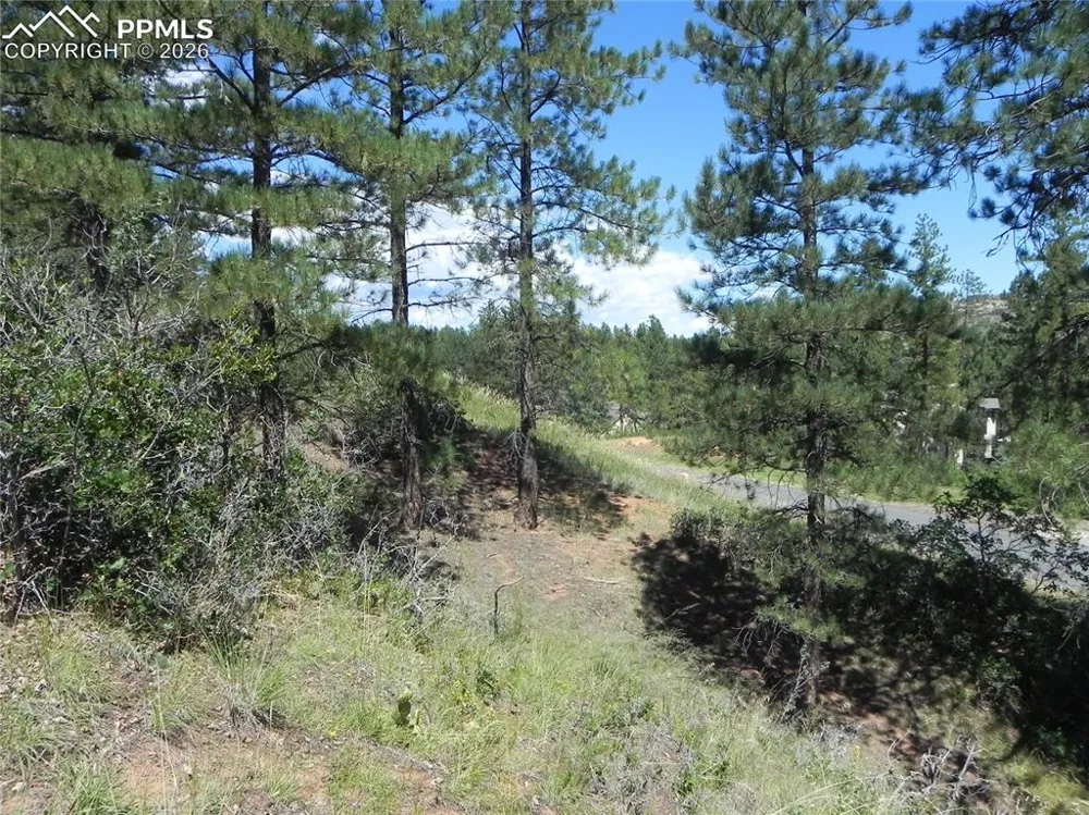 4144 Cheyenne Drive Larkspur, CO 80118