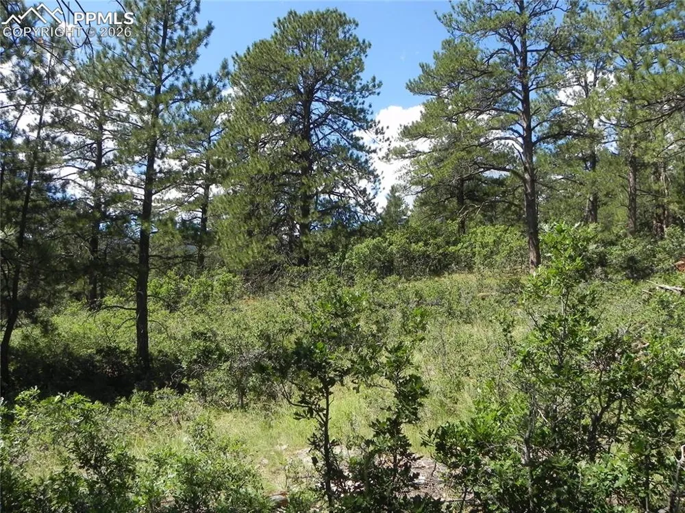 4144 Cheyenne Drive Larkspur, CO 80118