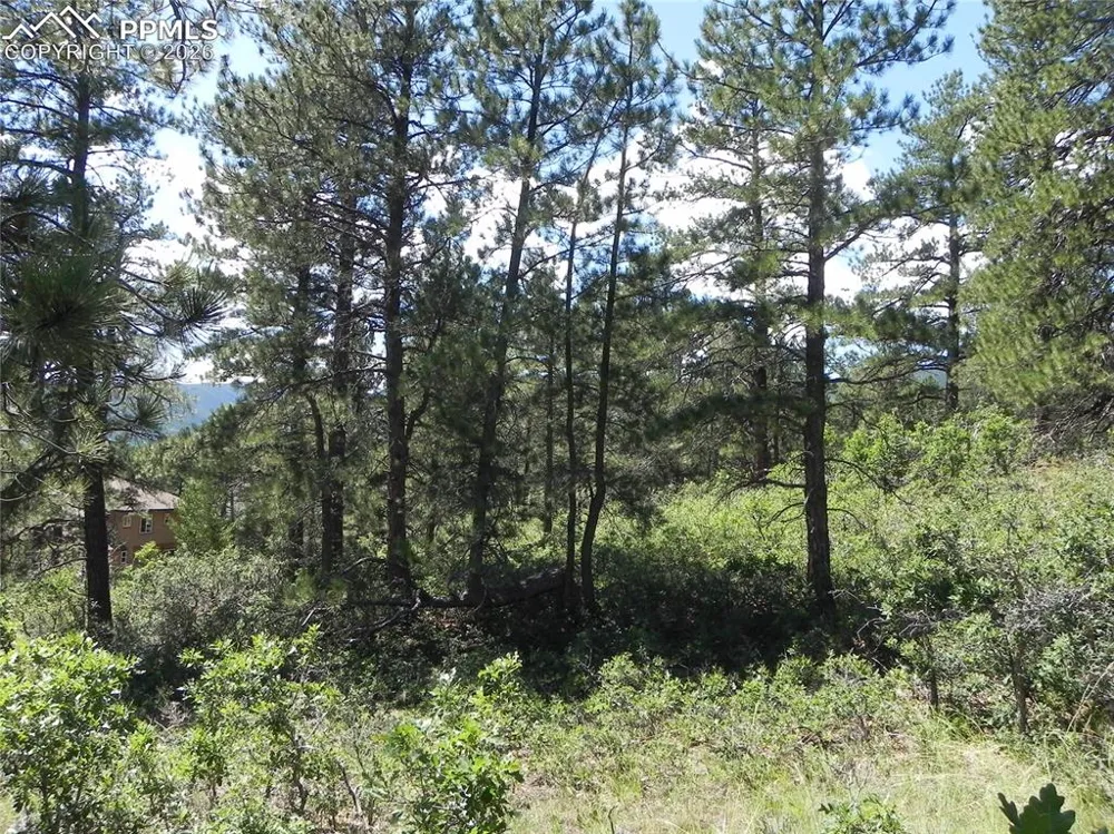 4144 Cheyenne Drive Larkspur, CO 80118