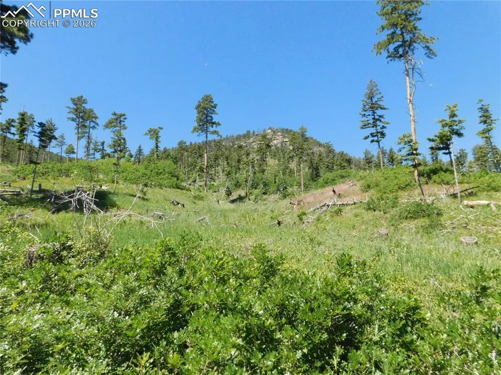 8249 Yuma Circle Larkspur, CO 80118