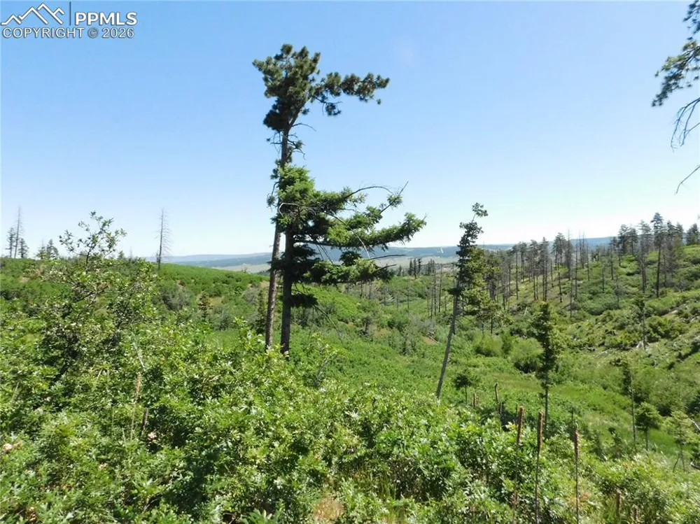 8249 Yuma Circle Larkspur, CO 80118
