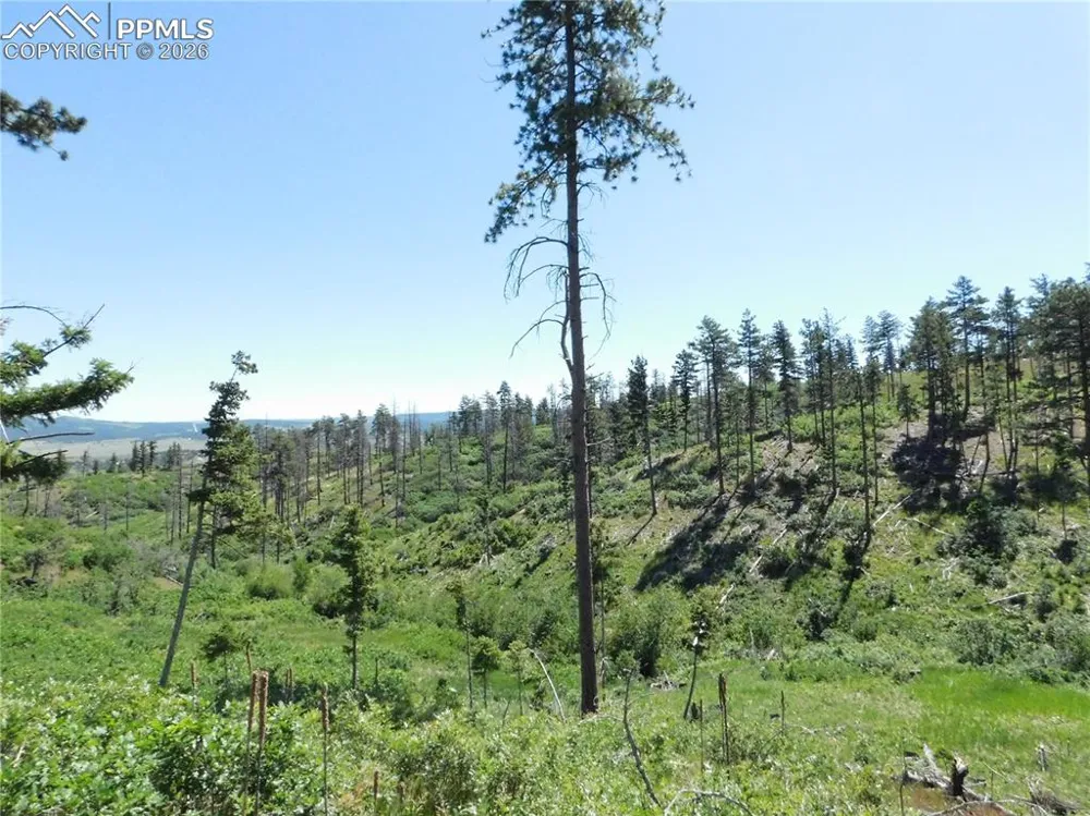 8249 Yuma Circle Larkspur, CO 80118