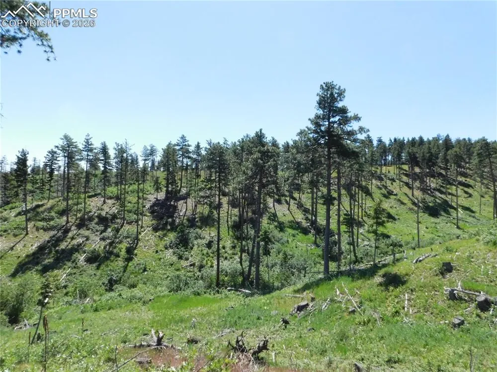 8249 Yuma Circle Larkspur, CO 80118