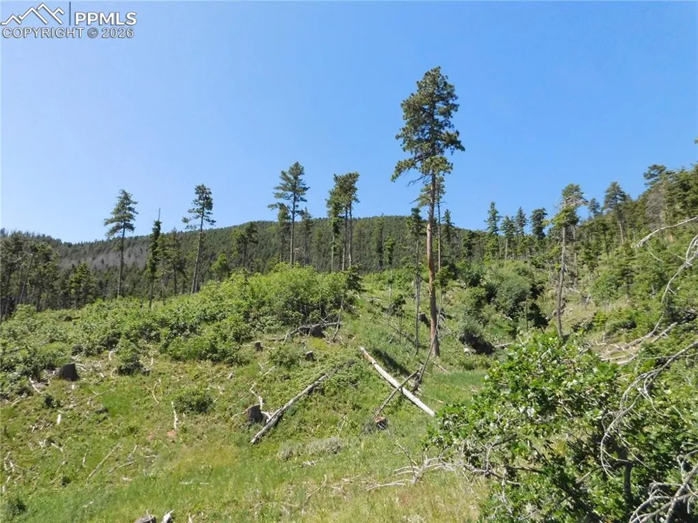 8249 Yuma Circle Larkspur, CO 80118