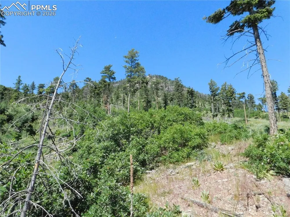 8249 Yuma Circle Larkspur, CO 80118