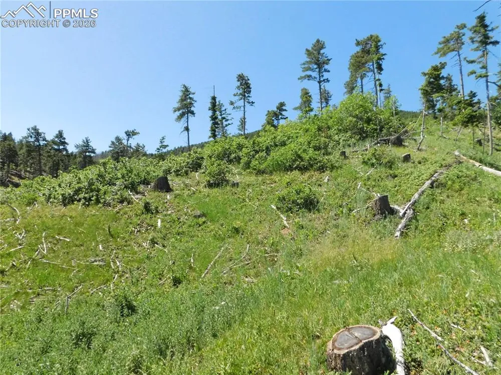 8249 Yuma Circle Larkspur, CO 80118