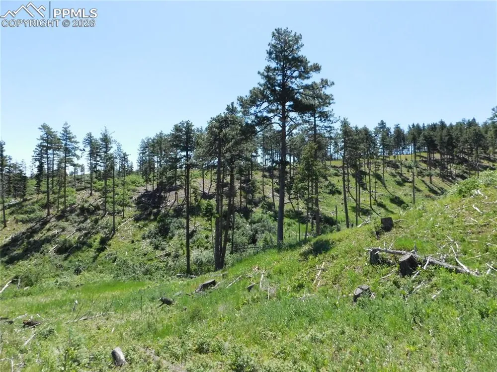 8249 Yuma Circle Larkspur, CO 80118