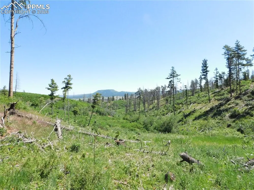 8249 Yuma Circle Larkspur, CO 80118