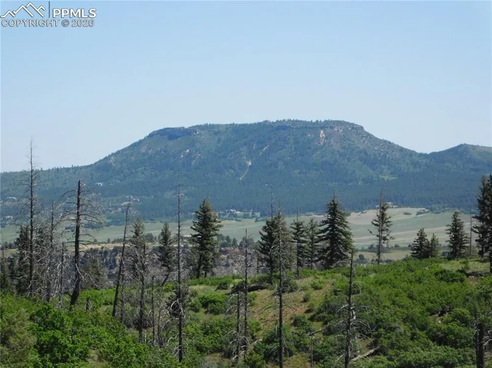 8249 Yuma Circle Larkspur, CO 80118