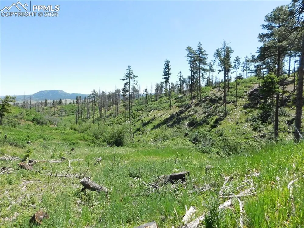 8249 Yuma Circle Larkspur, CO 80118