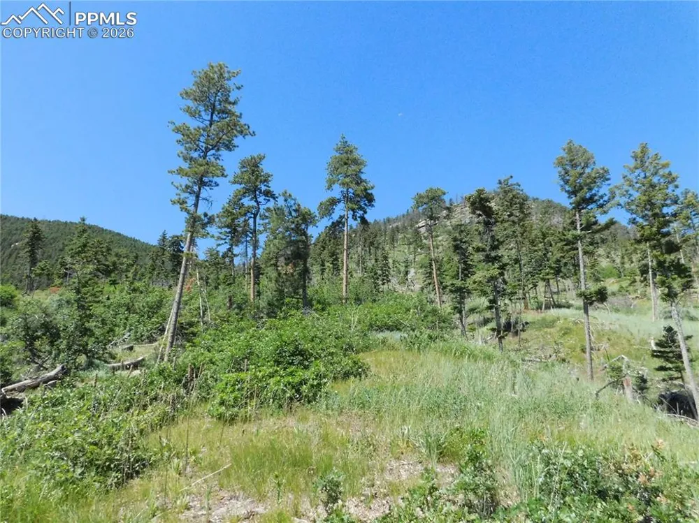8249 Yuma Circle Larkspur, CO 80118