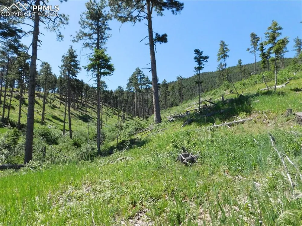 8249 Yuma Circle Larkspur, CO 80118