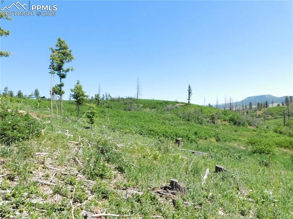 8249 Yuma Circle Larkspur, CO 80118