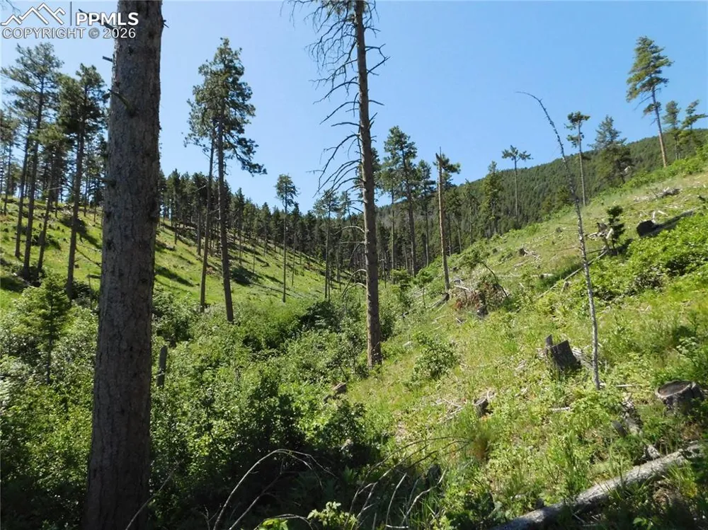 8249 Yuma Circle Larkspur, CO 80118