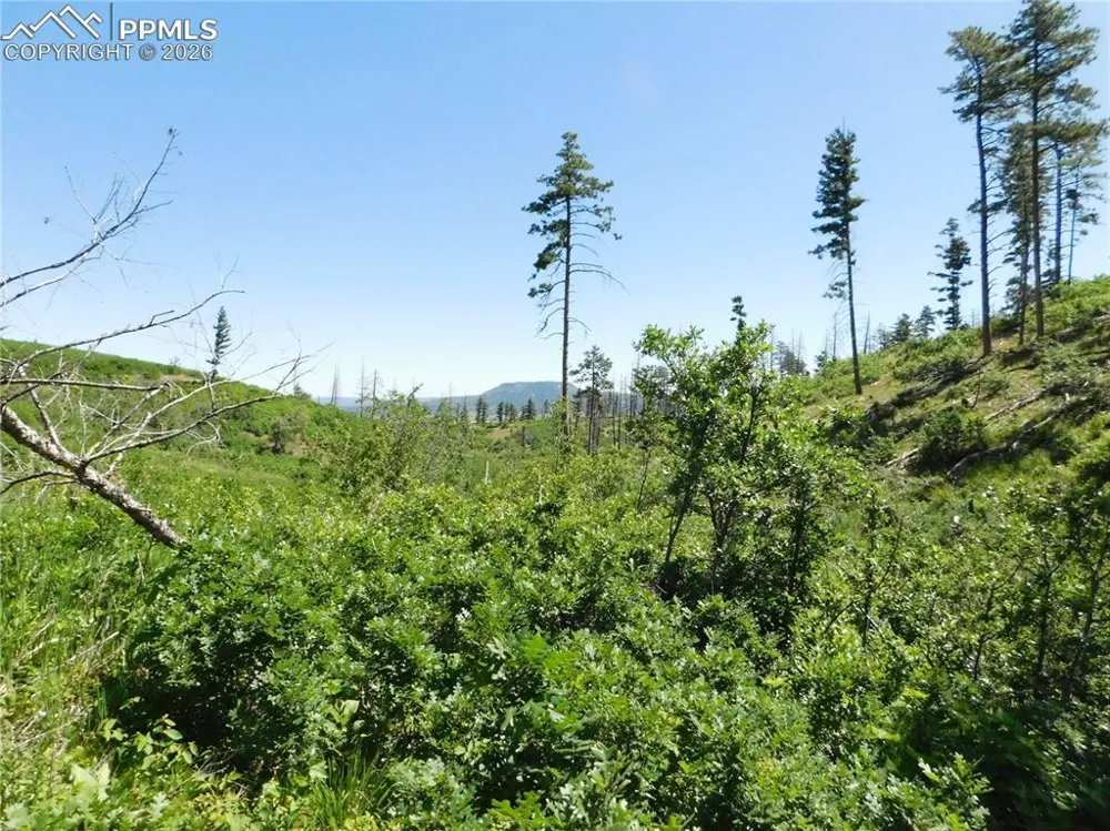 8249 Yuma Circle Larkspur, CO 80118