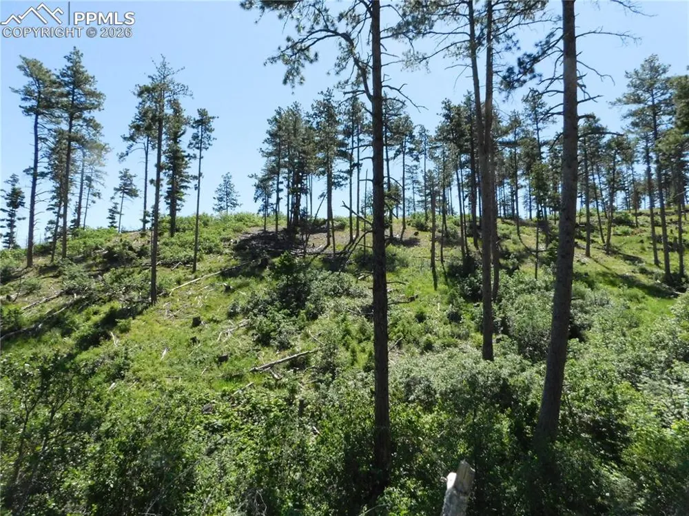 8249 Yuma Circle Larkspur, CO 80118