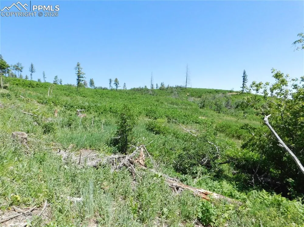8249 Yuma Circle Larkspur, CO 80118