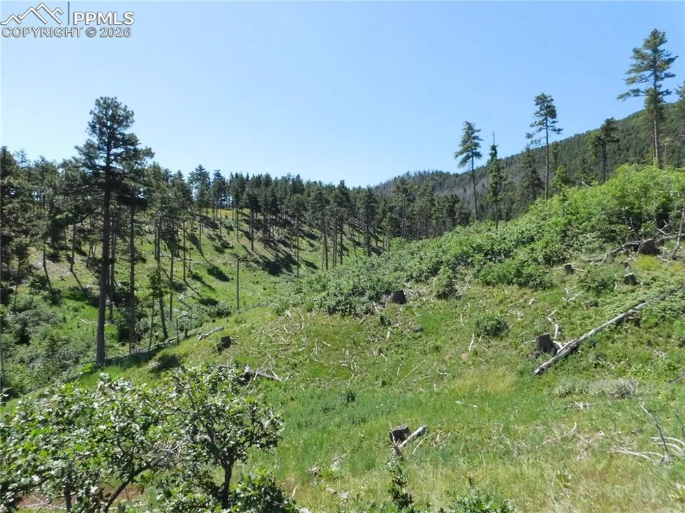 8249 Yuma Circle Larkspur, CO 80118