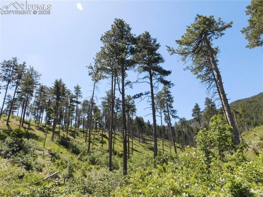 8249 Yuma Circle Larkspur, CO 80118