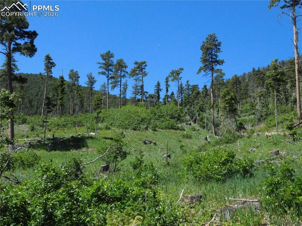 8249 Yuma Circle Larkspur, CO 80118