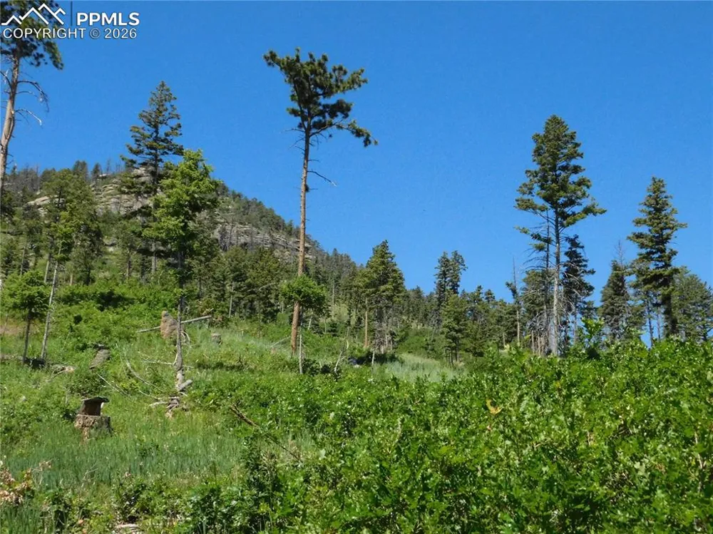 8249 Yuma Circle Larkspur, CO 80118