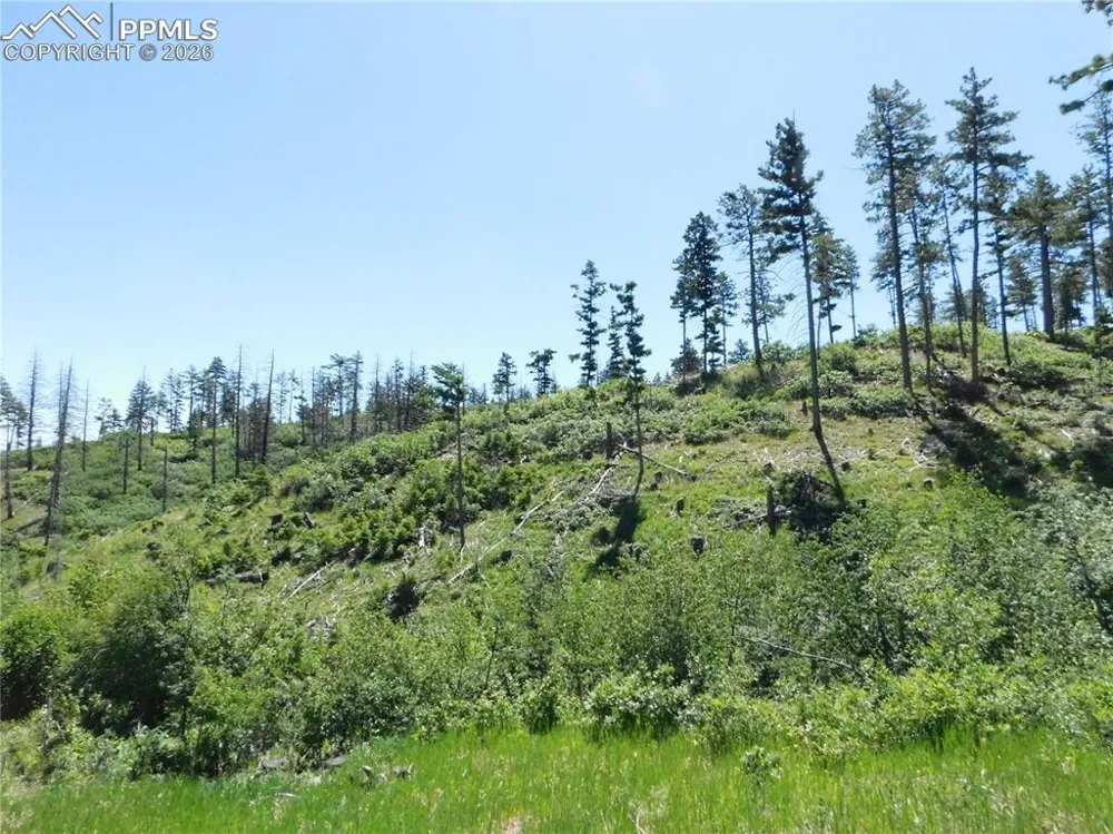 8249 Yuma Circle Larkspur, CO 80118
