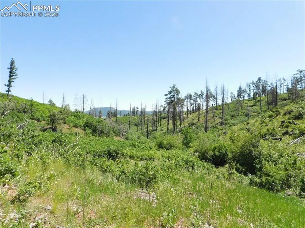 8249 Yuma Circle Larkspur, CO 80118