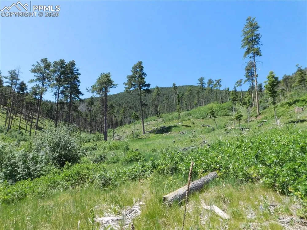 8249 Yuma Circle Larkspur, CO 80118
