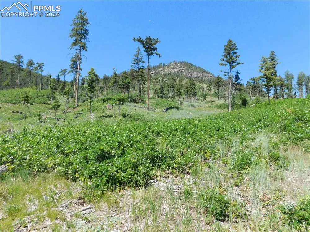 8249 Yuma Circle Larkspur, CO 80118