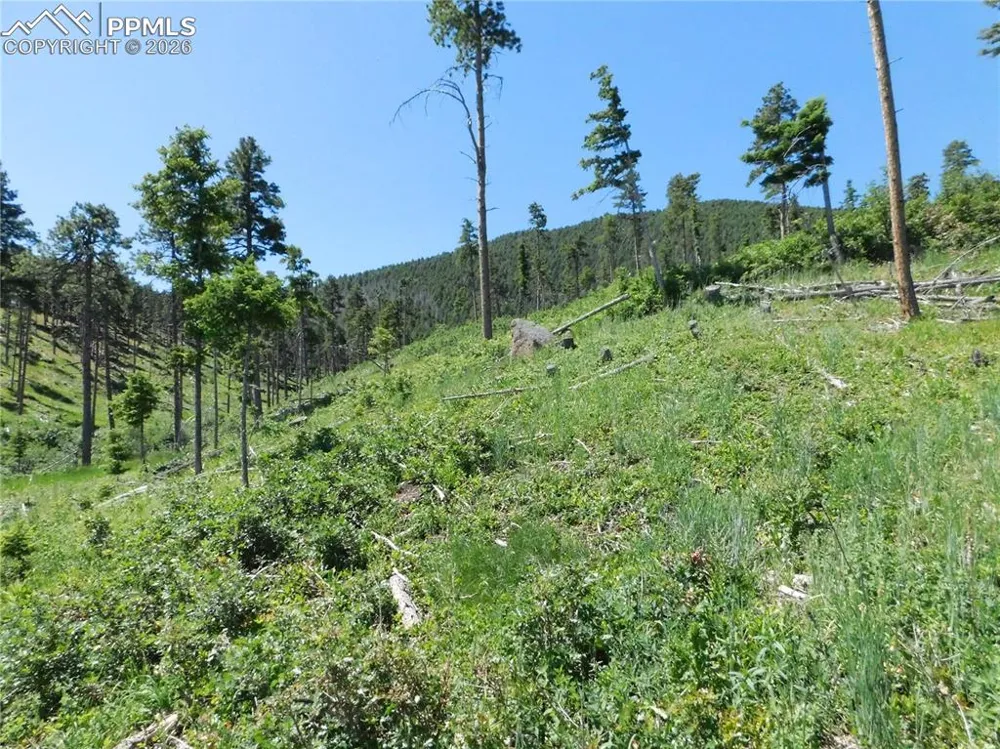 8249 Yuma Circle Larkspur, CO 80118