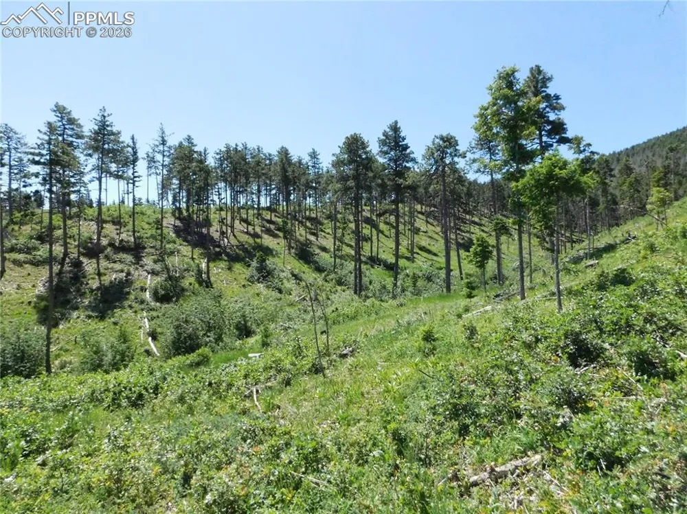 8249 Yuma Circle Larkspur, CO 80118