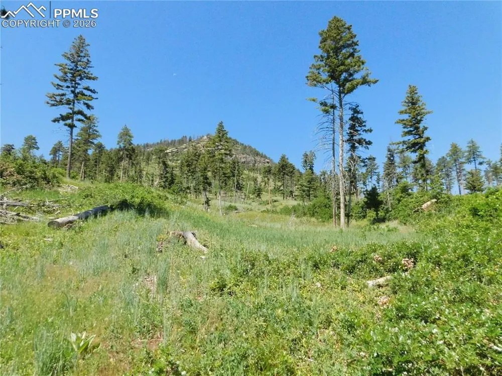 8249 Yuma Circle Larkspur, CO 80118