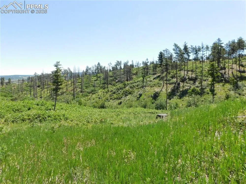 8249 Yuma Circle Larkspur, CO 80118