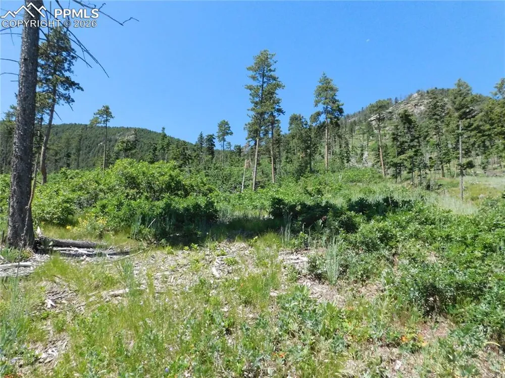 8249 Yuma Circle Larkspur, CO 80118