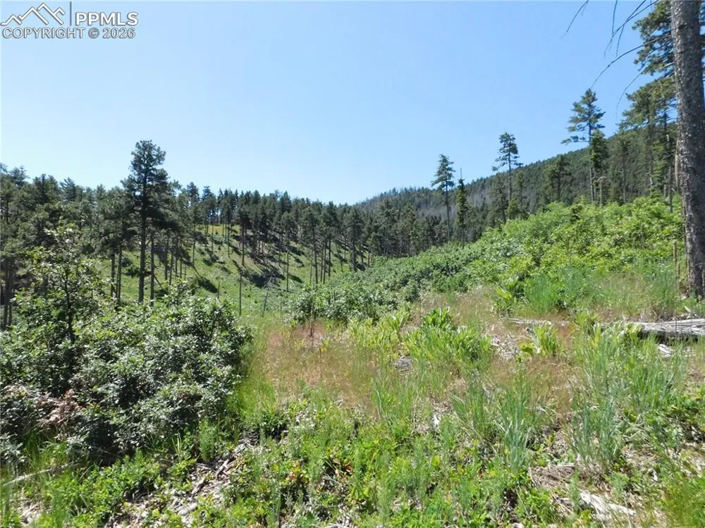 8249 Yuma Circle Larkspur, CO 80118