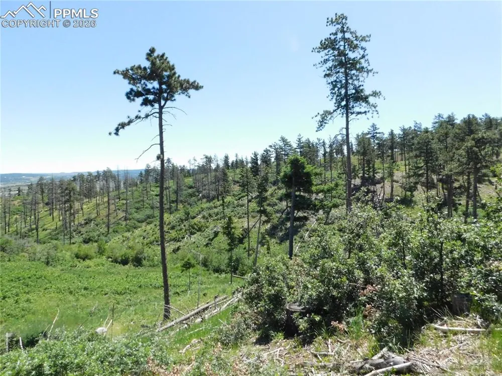 8249 Yuma Circle Larkspur, CO 80118