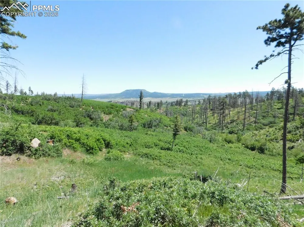 8249 Yuma Circle Larkspur, CO 80118