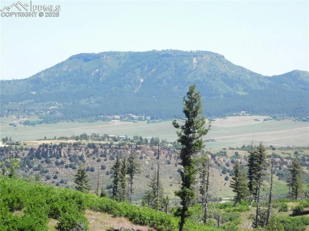 8249 Yuma Circle Larkspur, CO 80118