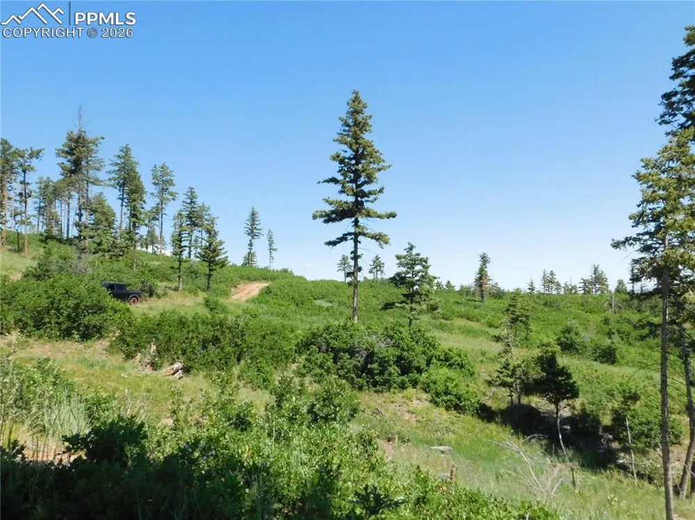 8249 Yuma Circle Larkspur, CO 80118