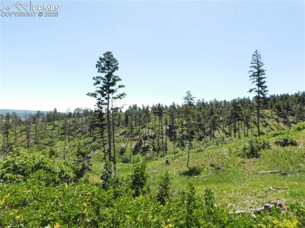 8249 Yuma Circle Larkspur, CO 80118