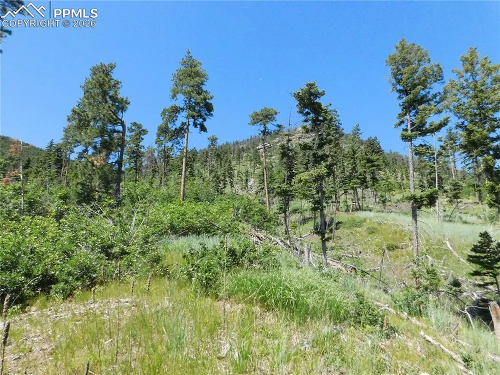 8249 Yuma Circle Larkspur, CO 80118