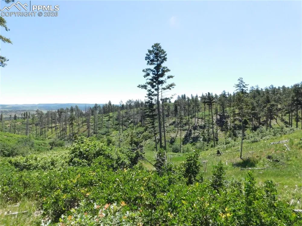 8249 Yuma Circle Larkspur, CO 80118