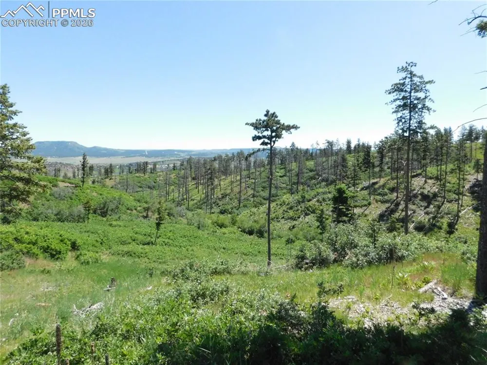 8249 Yuma Circle Larkspur, CO 80118