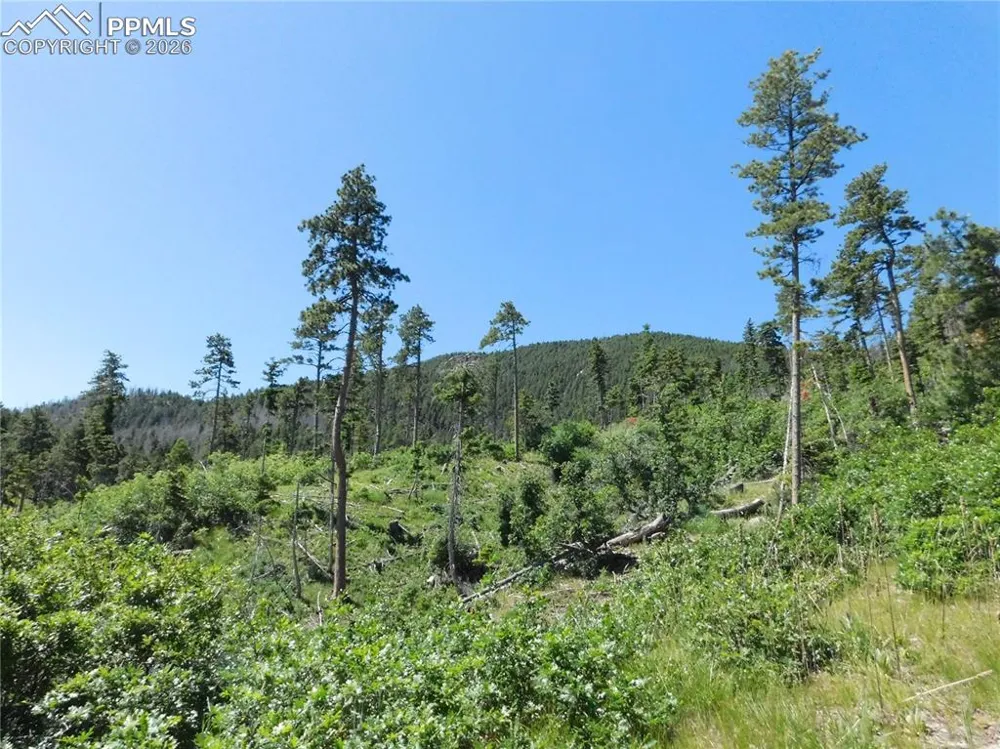 8249 Yuma Circle Larkspur, CO 80118