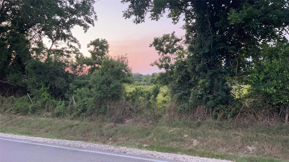 County Road 31 Angleton, TX 77515