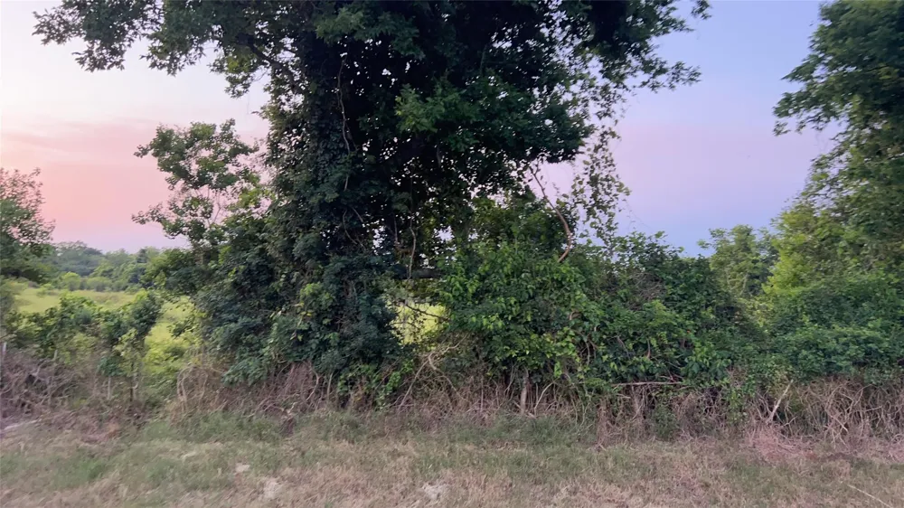 County Road 31 Angleton, TX 77515
