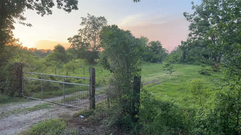 County Road 31 Angleton, TX 77515