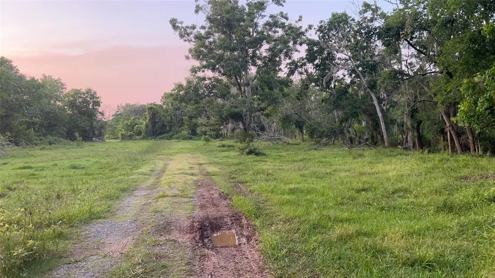 County Road 31 Angleton, TX 77515
