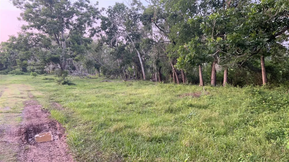 County Road 31 Angleton, TX 77515