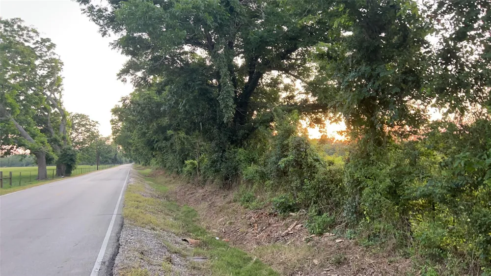 County Road 31 Angleton, TX 77515